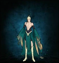 Рурииро Кудзяку.png