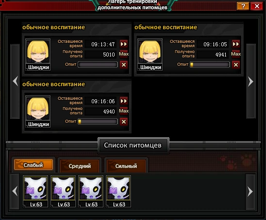 Лагерь тренировки.png